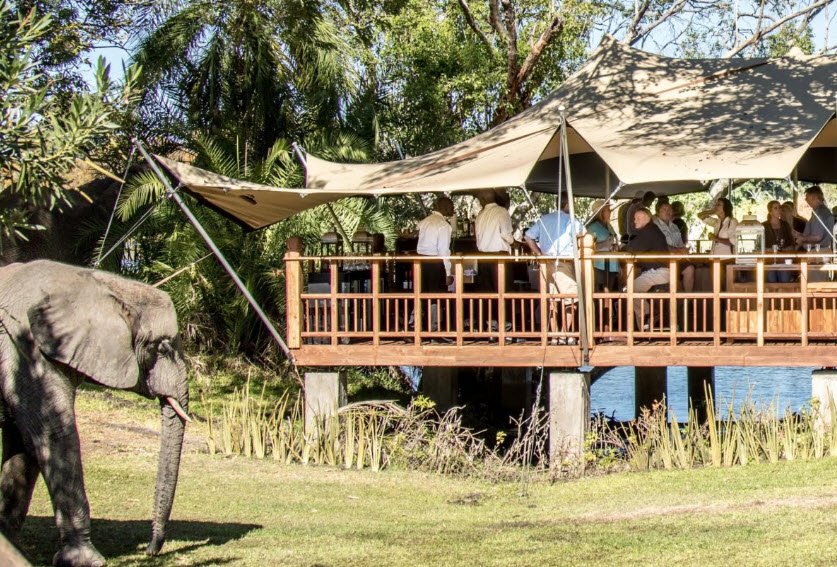 Elephant Café, Livingstone, Southern Province, Zambia